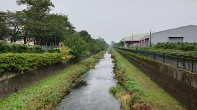 20260928_hibi_1