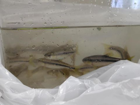 20261007_生物ハイキング_007