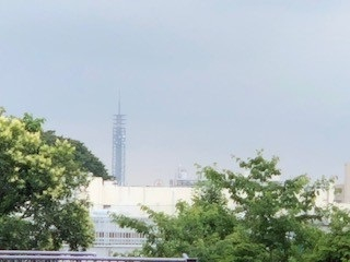 210624田無タワー.jpg