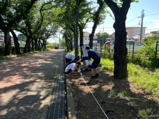 220602種蒔き①