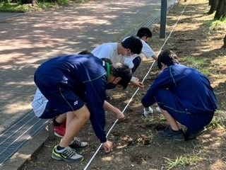 220602種蒔き③