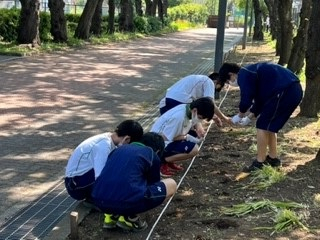 220602種蒔き④