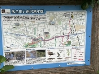 220623落合川①