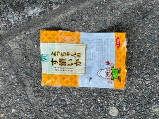 221028いか星人②