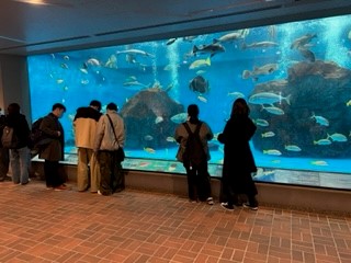 230112ペンギン水族館④