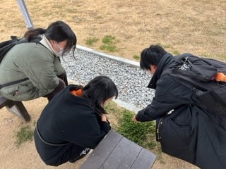 230112ペンギン水族館⑤四つ葉