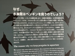 230112ペンギン水族館⑨