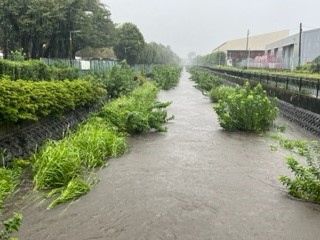 230908黒目川１