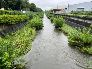 230908黒目川２