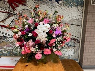 231110玄関の花