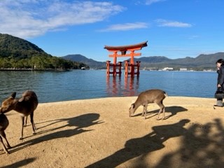 231114上陸２