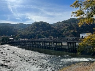 231116渡月橋２