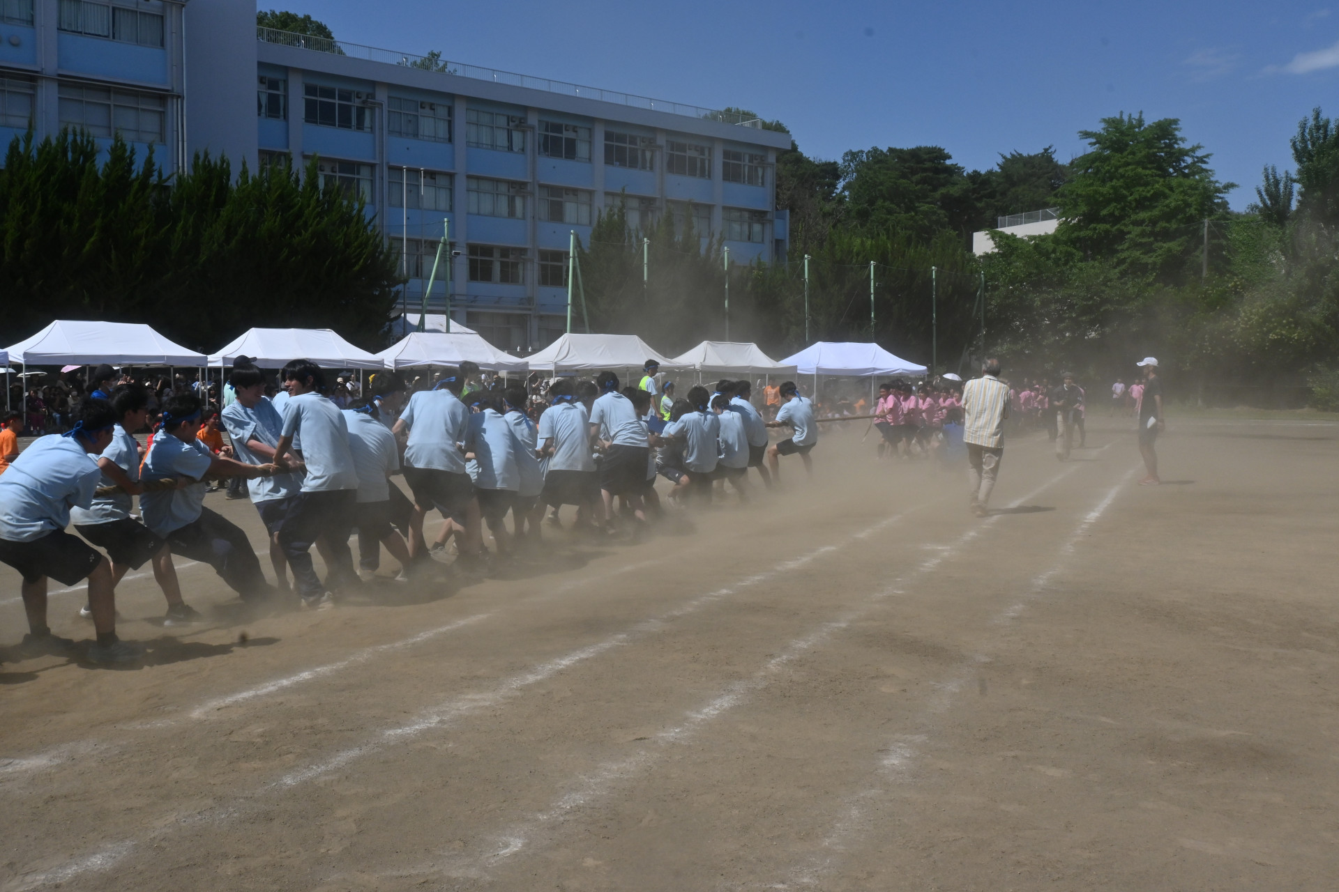 DSC_7851.JPG