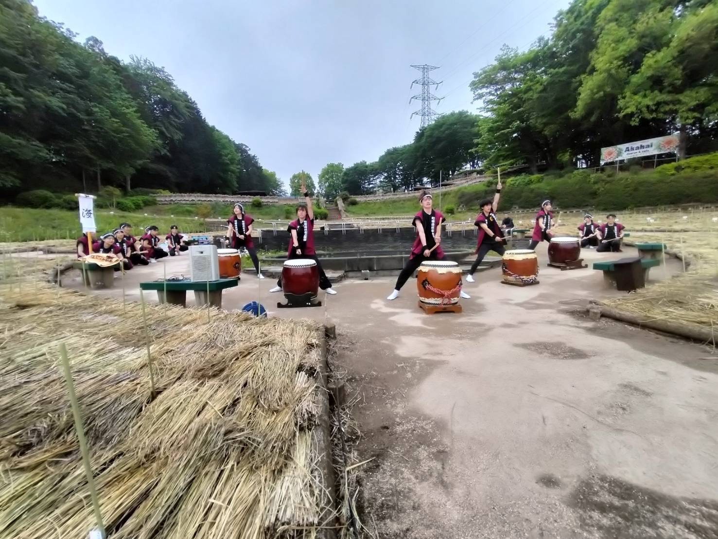 ダリア園ＨＰ写真
