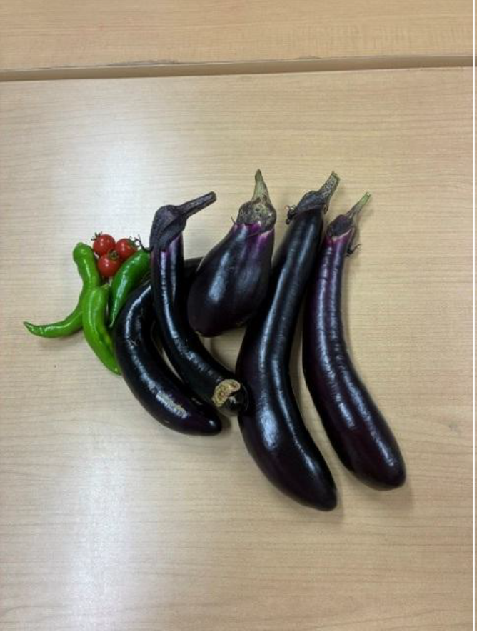 生物部