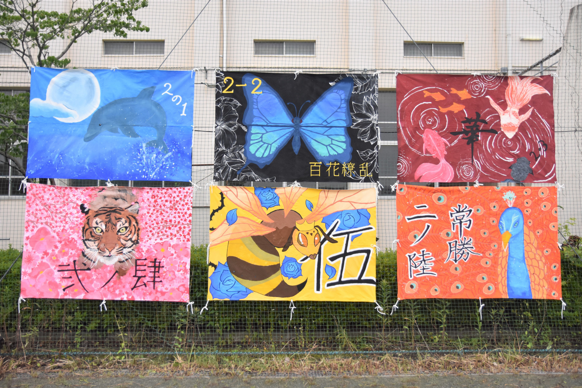 DSC_0156.JPG