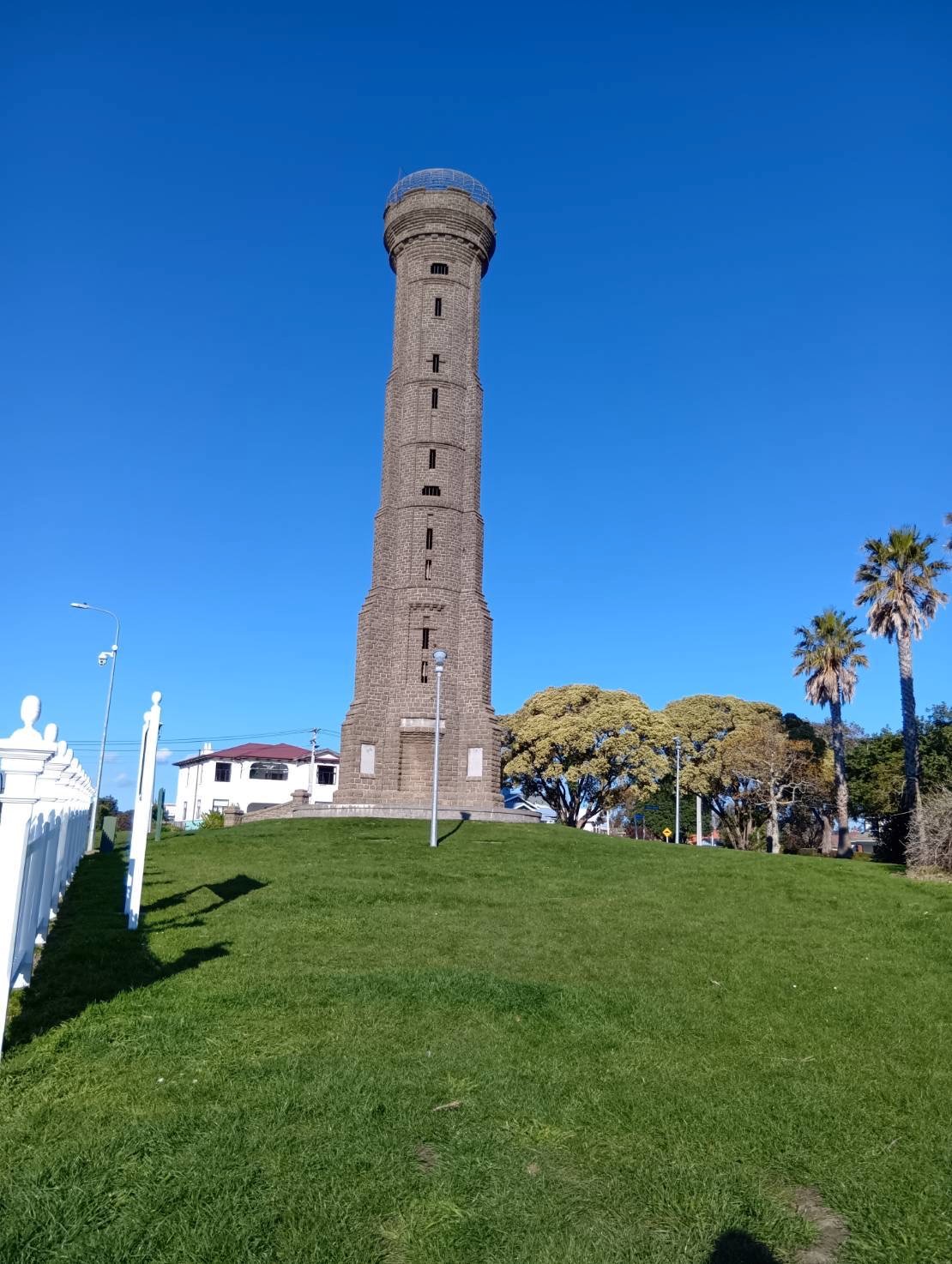 nyu1