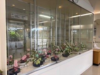 はな２