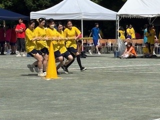 大2