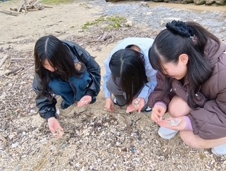 貝ひろい