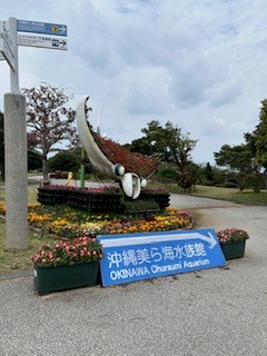 ４美ら海