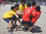 ^CD
