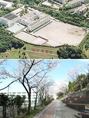 松が谷高校は多摩の山並みを望む高台の閑静な住宅地に位置しています。