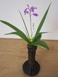 お花