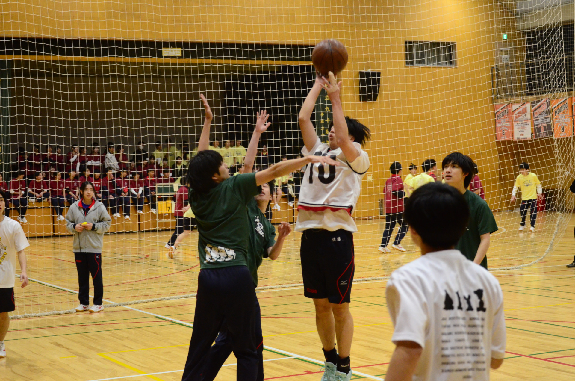 DSC_7953.JPG