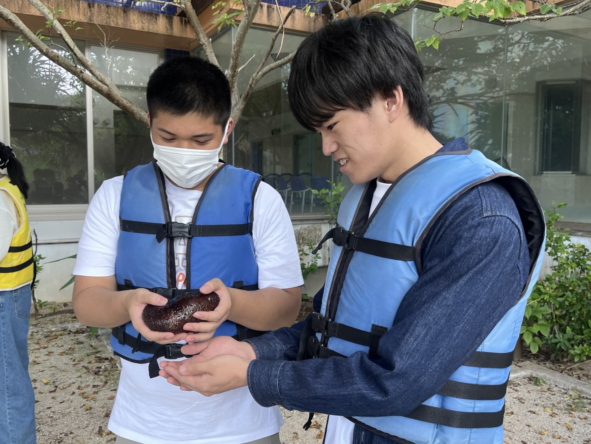 修学旅行なまこ