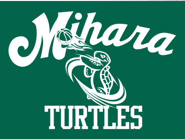 TURTLESロゴ