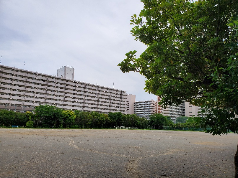グラウンドの緑
