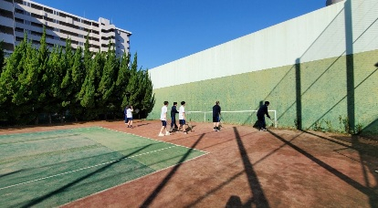 テニスオムニ壁