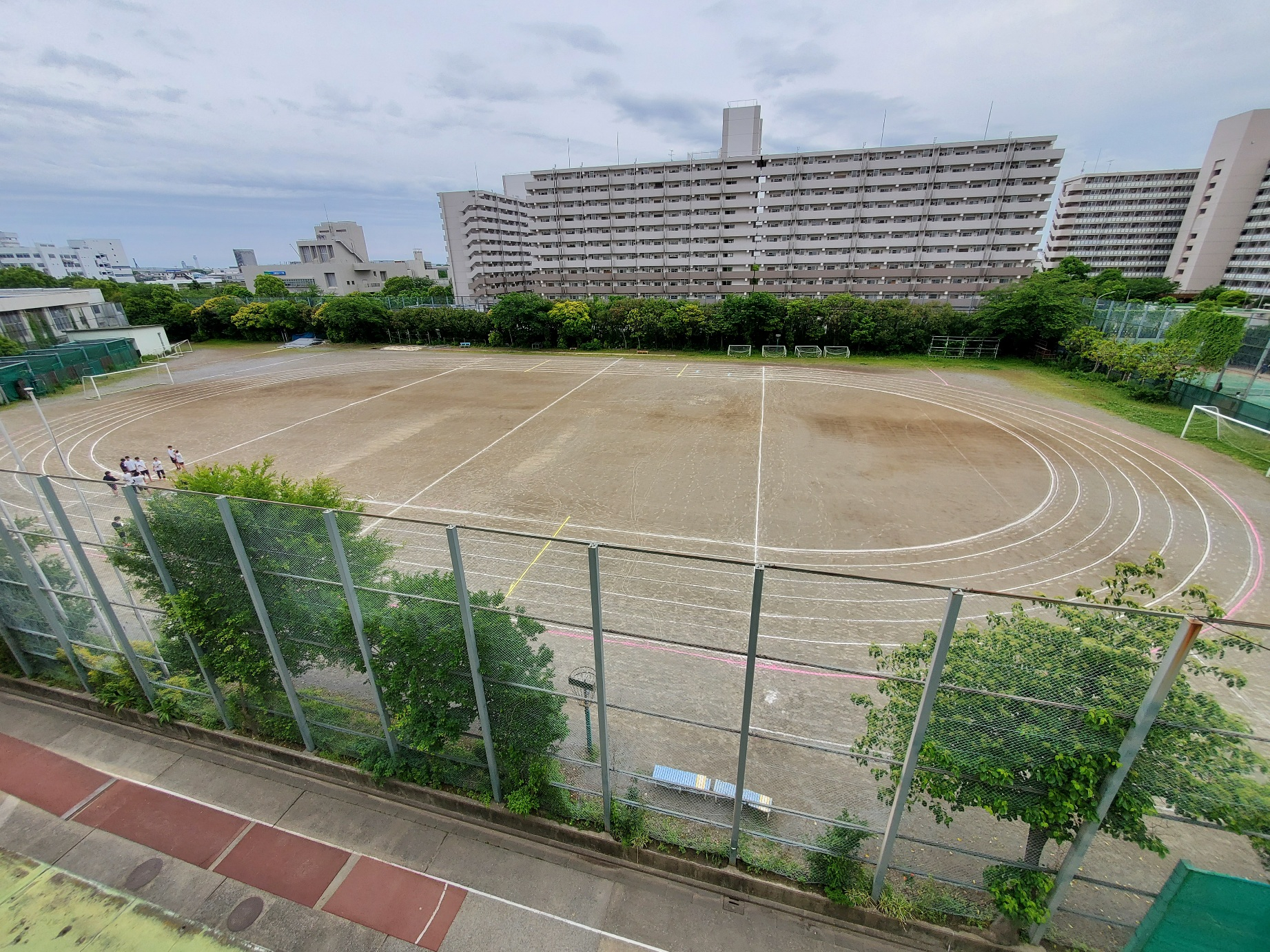ライン引き全景広角