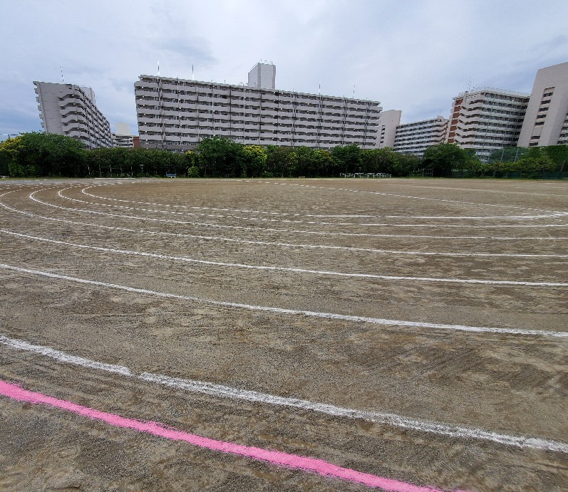 ライン引き同心円