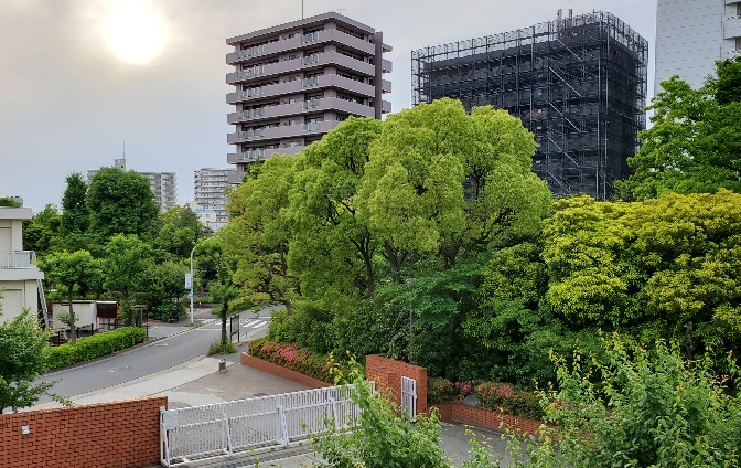 夕日