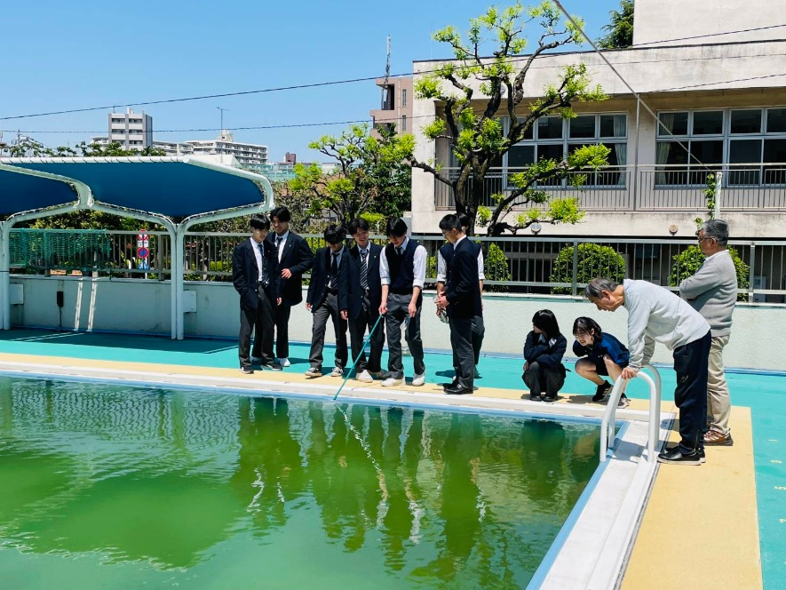 大森東小プール