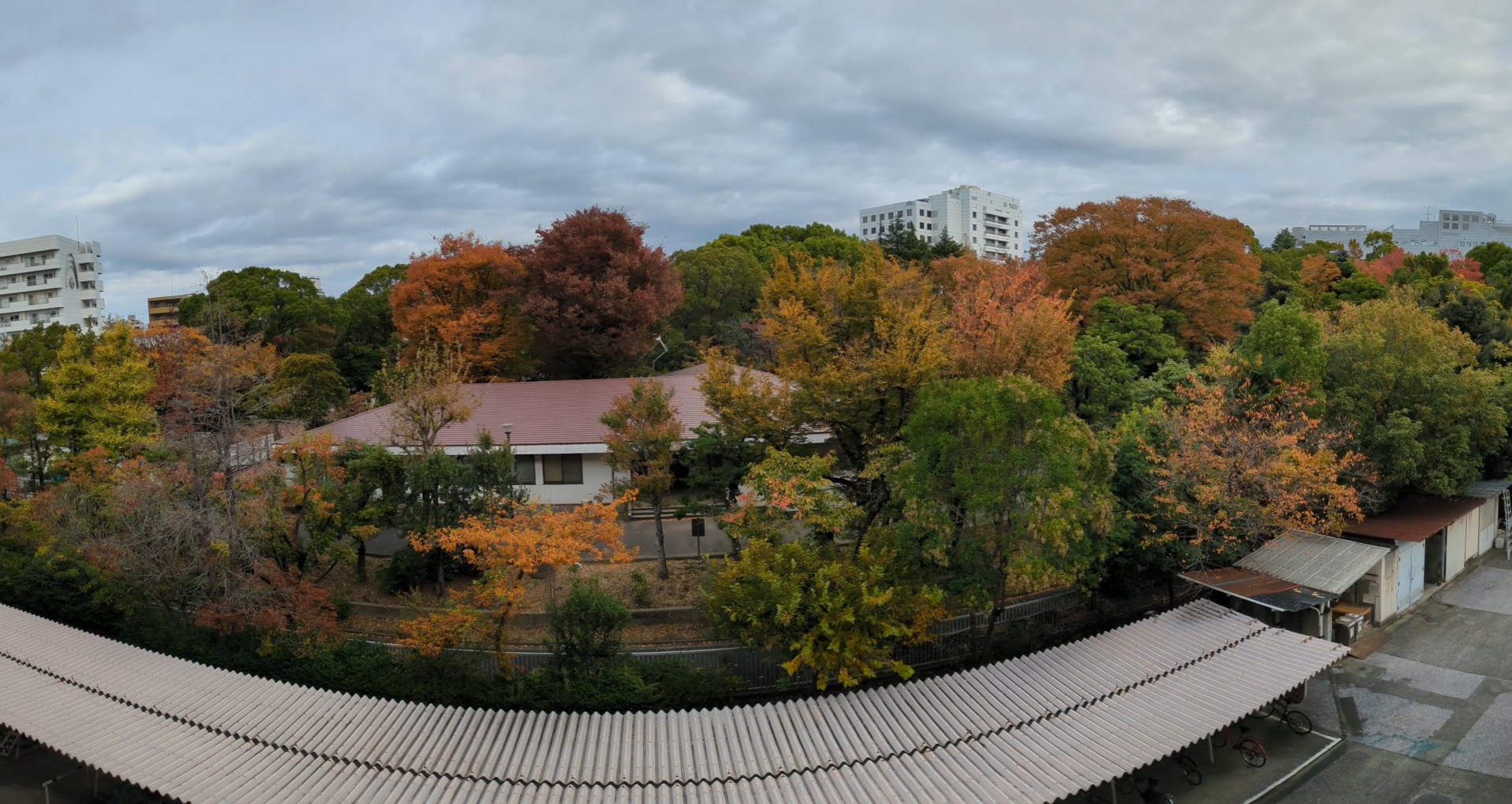 平和の森公園2025