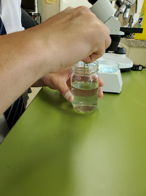 水生生物