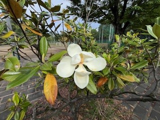 04