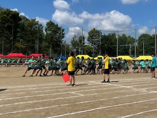 29-6