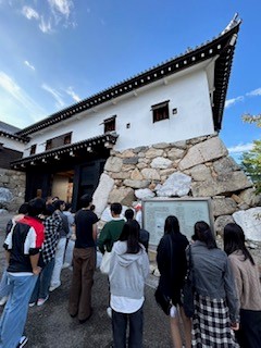 ima01