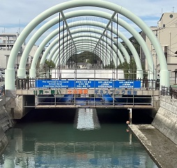 syo06