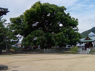 t07