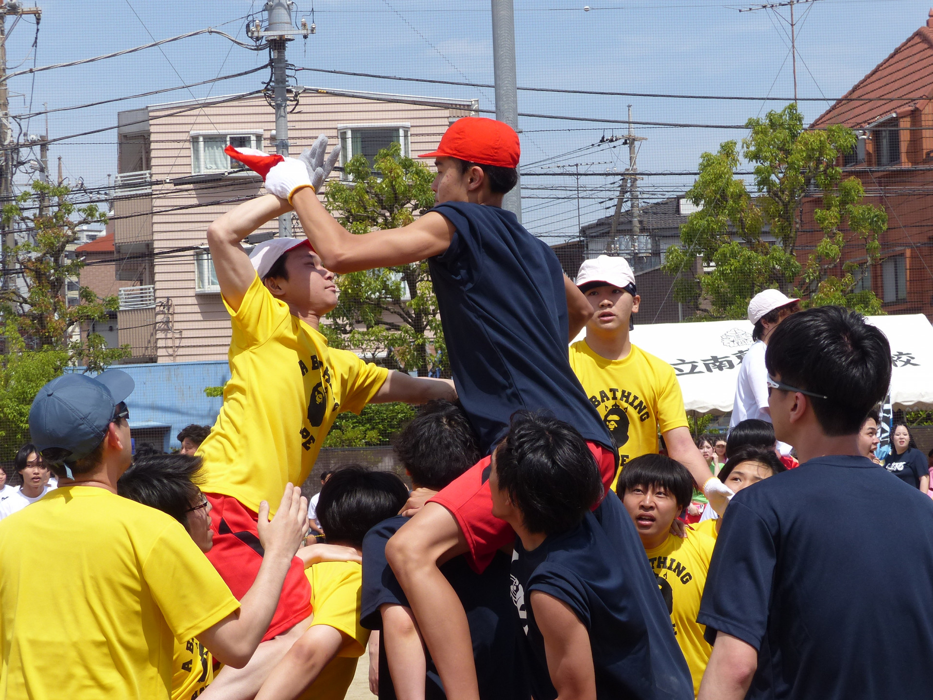 P1240538.JPG