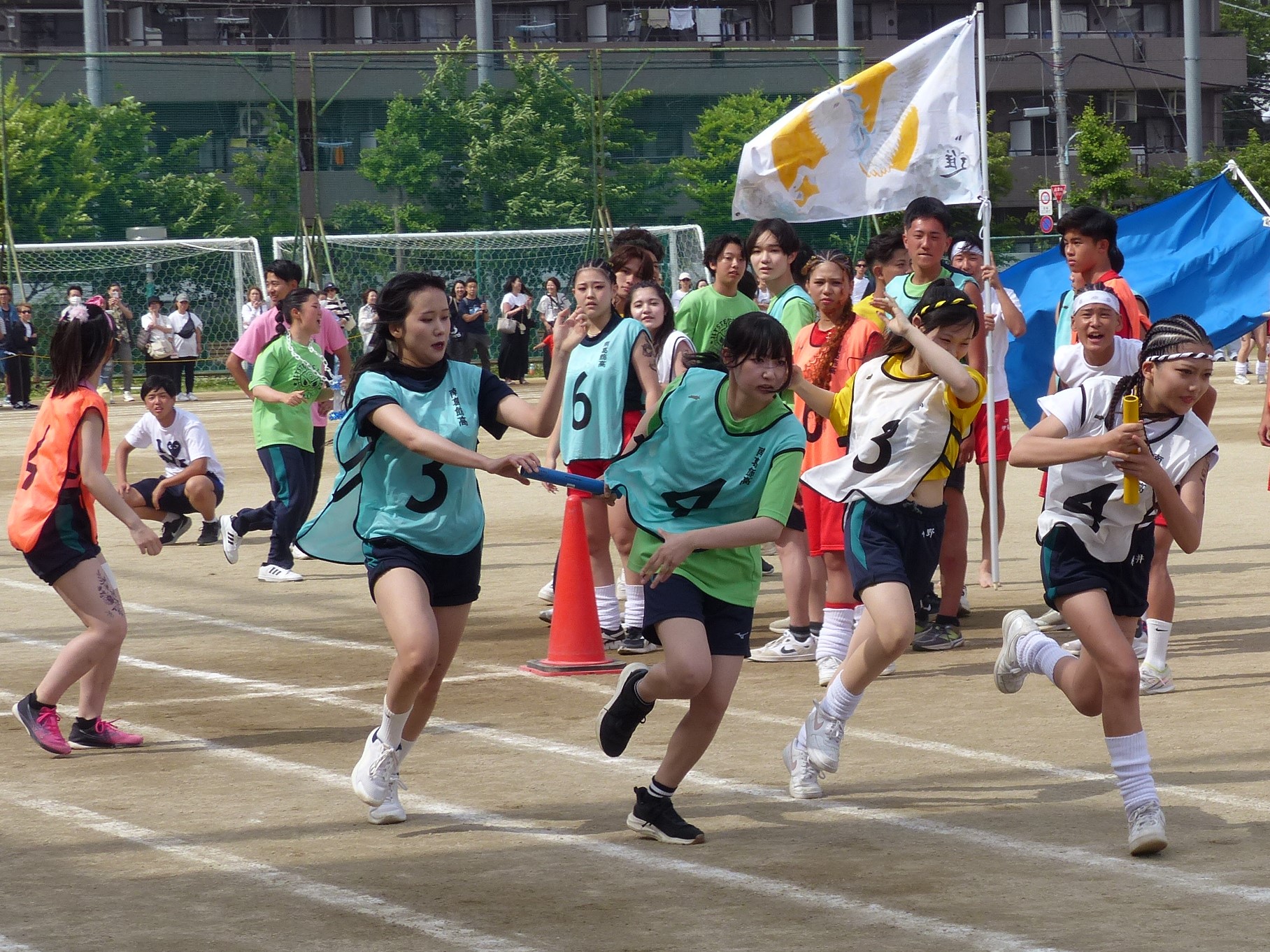P1240983.JPG