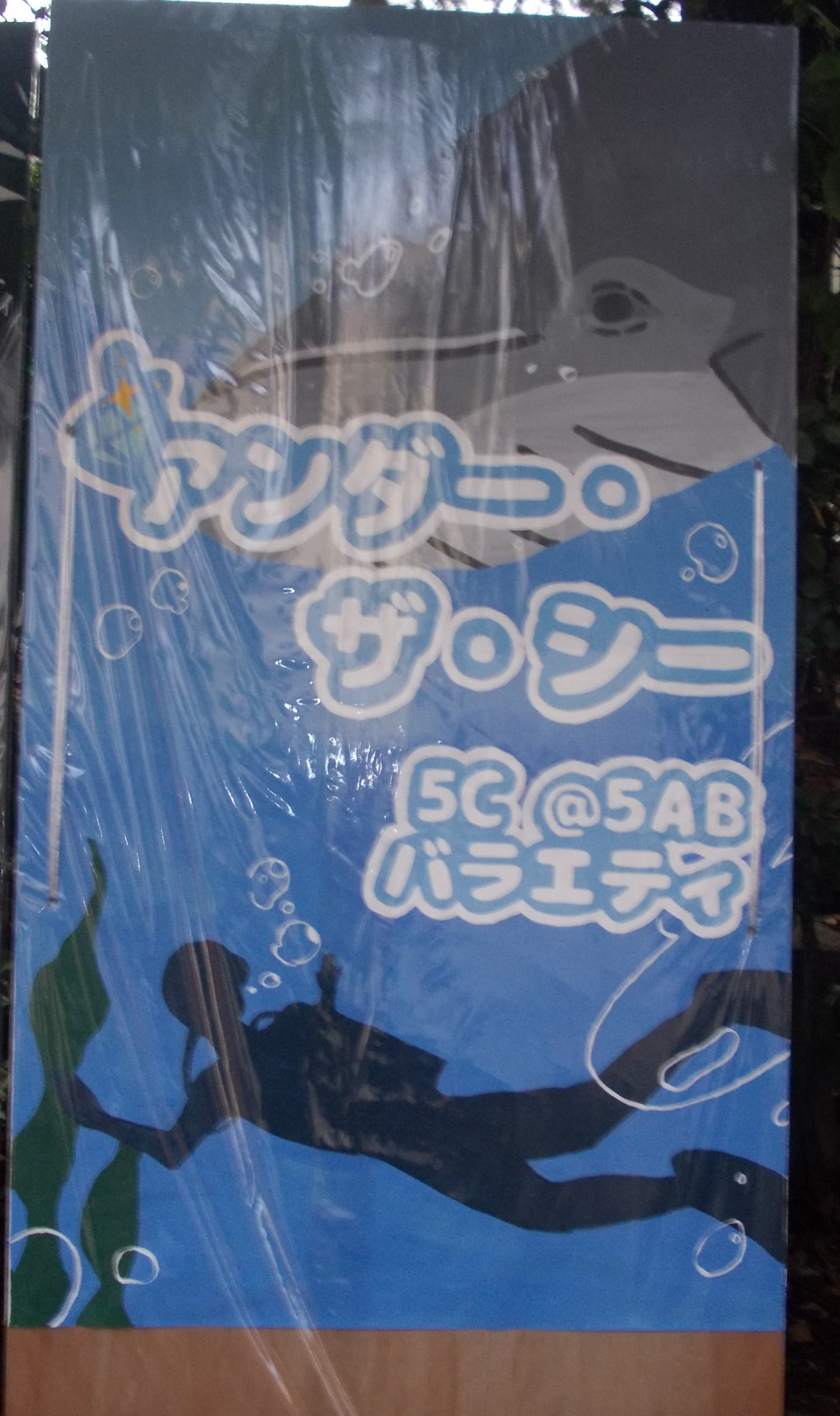 5C.JPG