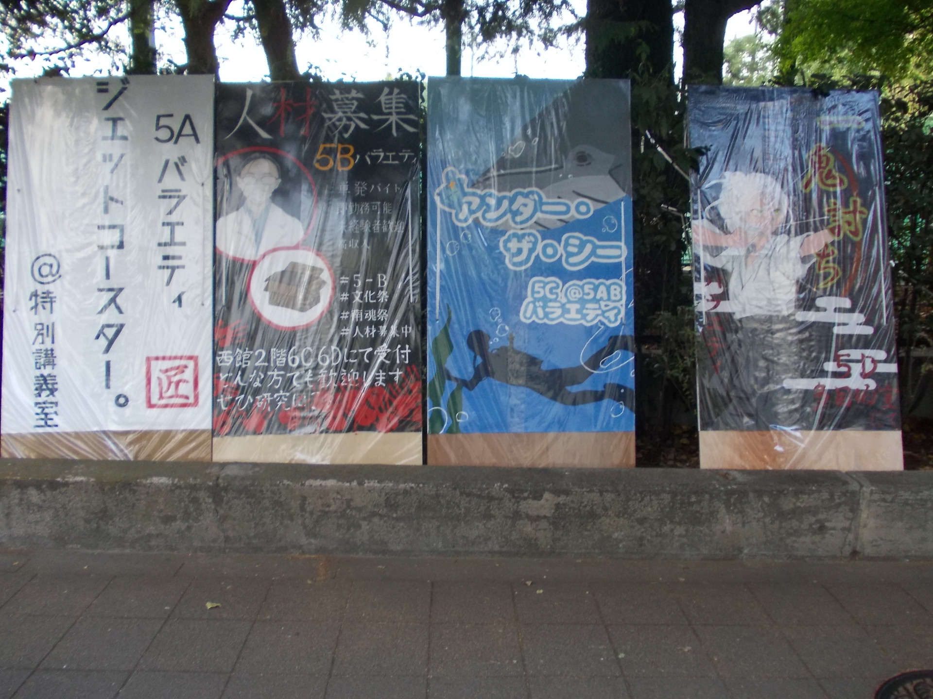5年.JPG