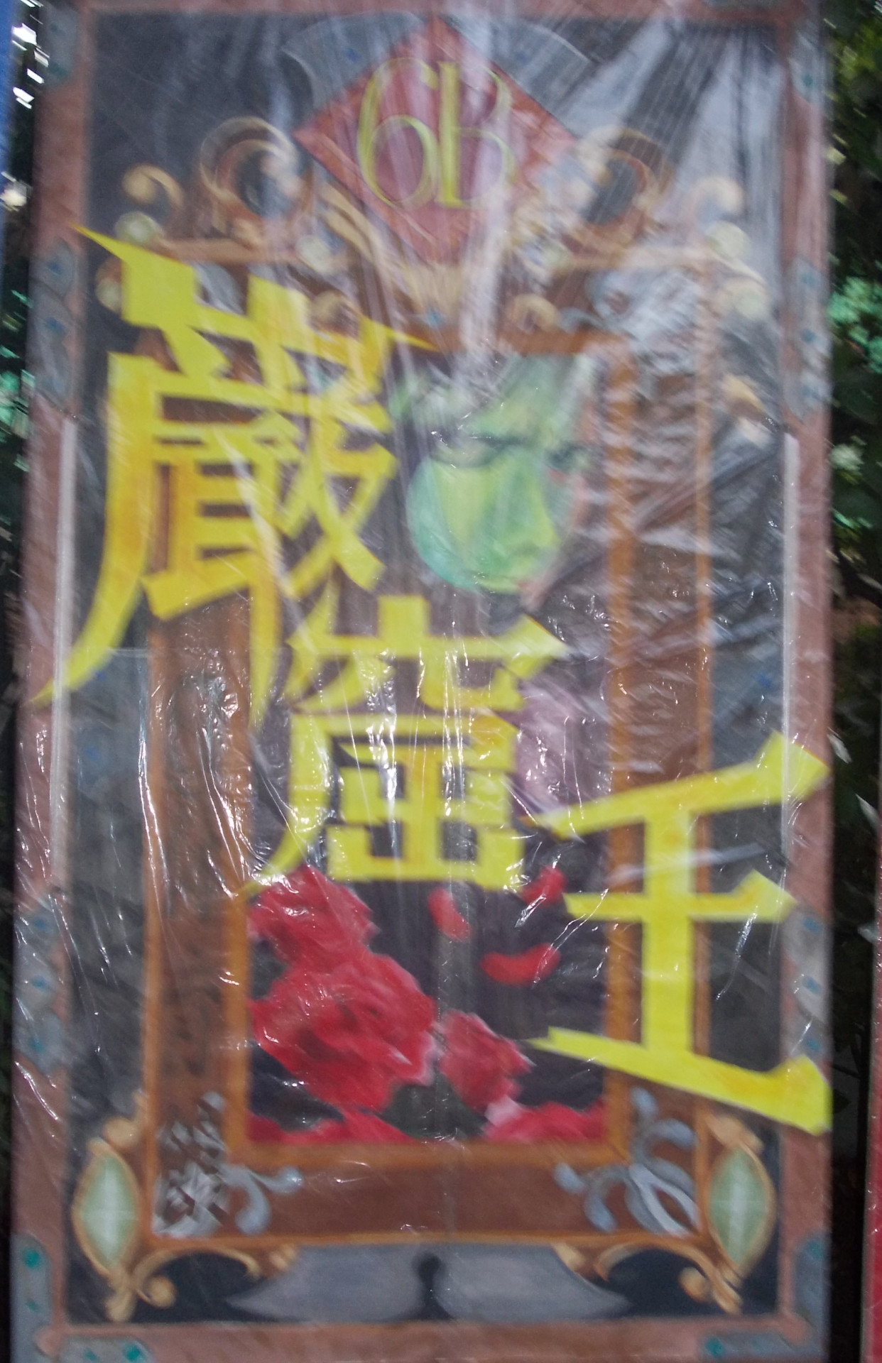 6B.JPG