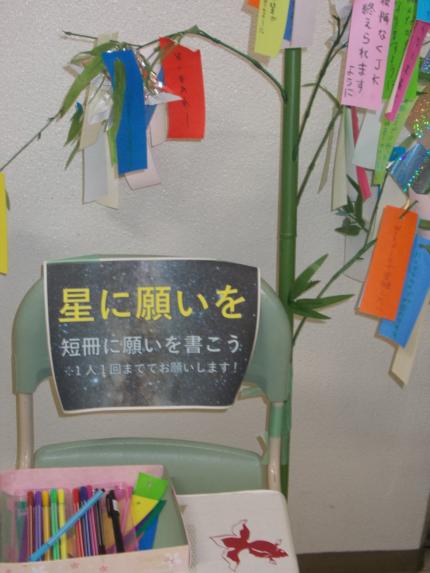 DSCN0109.JPG